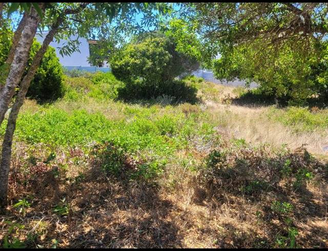 LAND FOR SALE IN KLEINBAAI